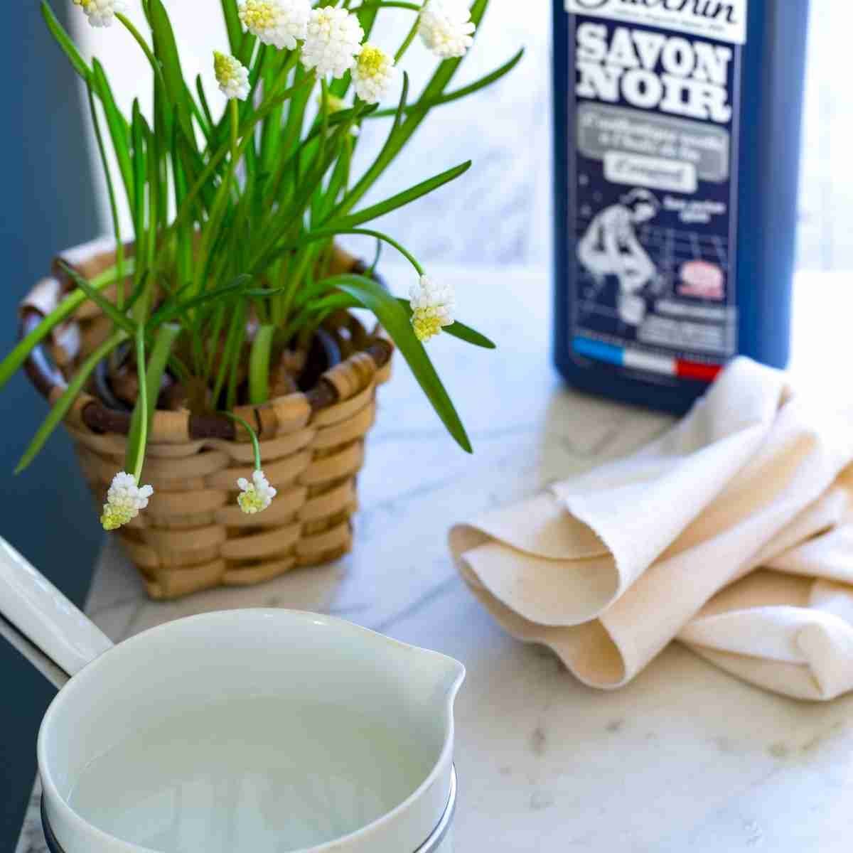 Lutter contre les insectes sur les plantes